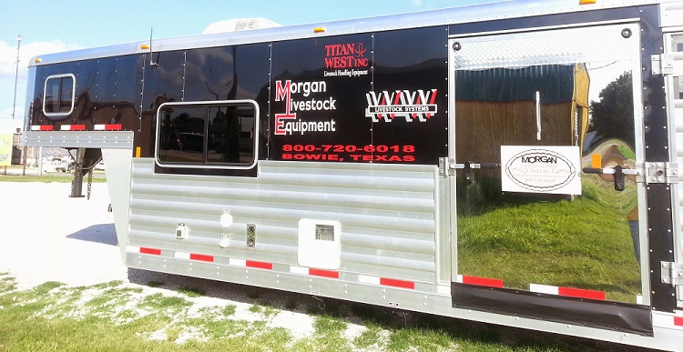 Morgan Livestock Auto Graphic