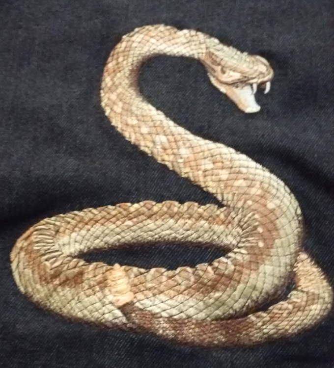 Snake Embiodery